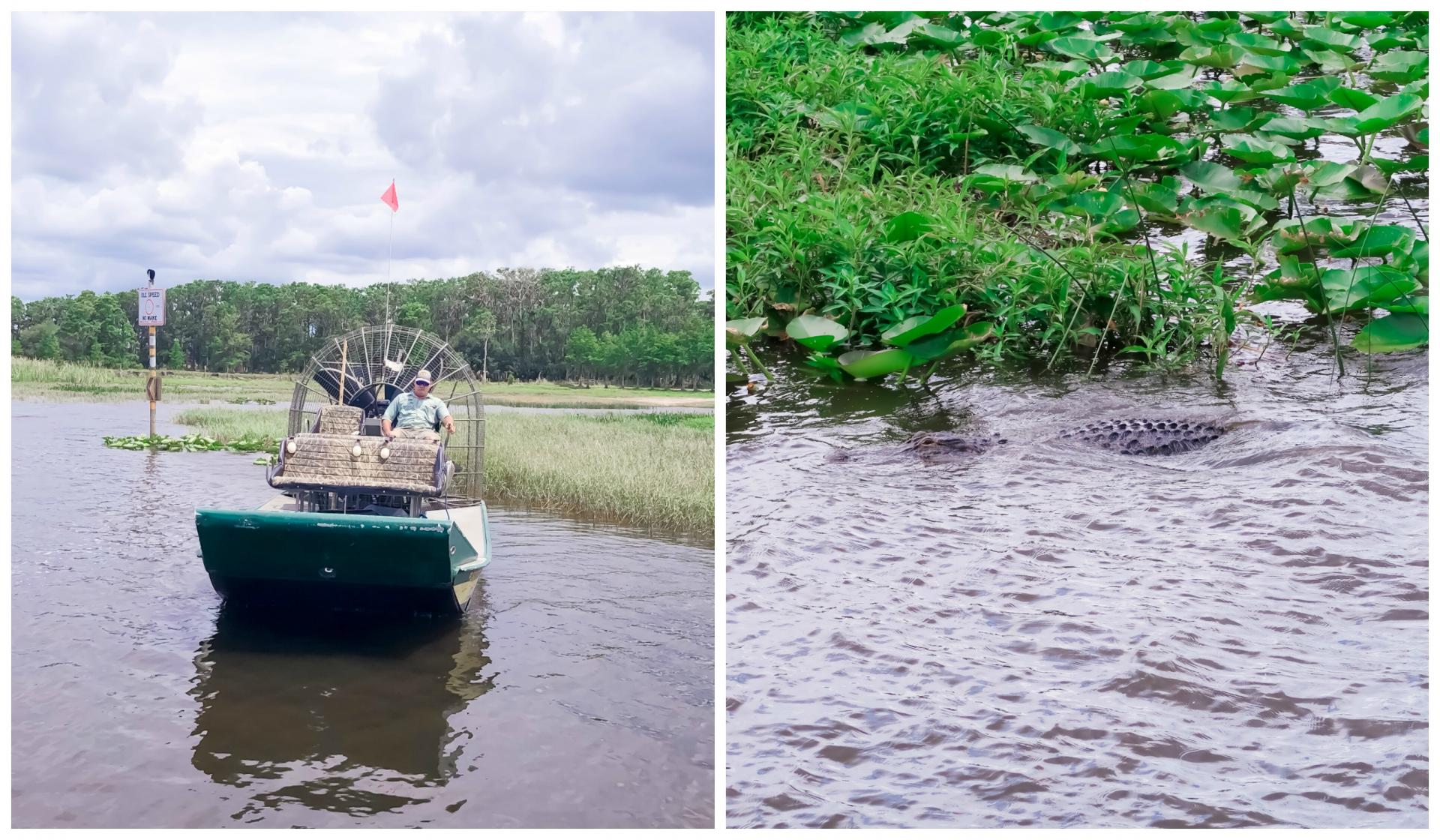 wild florida airboats